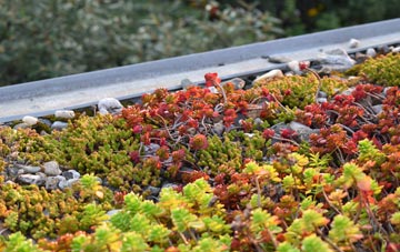 the cost of Tan Lan green roof installation