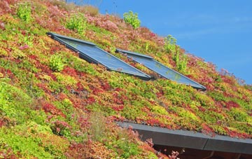 Tan Lan living roof systems