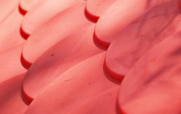 Tan Lan plastic roof costs