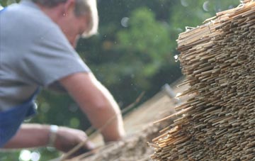 professional Tan Lan thatchers