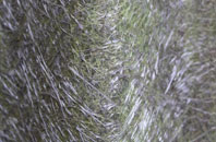 Tan Lan fibreglass roof work