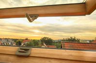 rated Tan Lan roof window companies