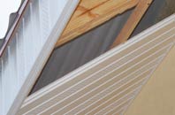 rated Tan Lan soffit repair companies